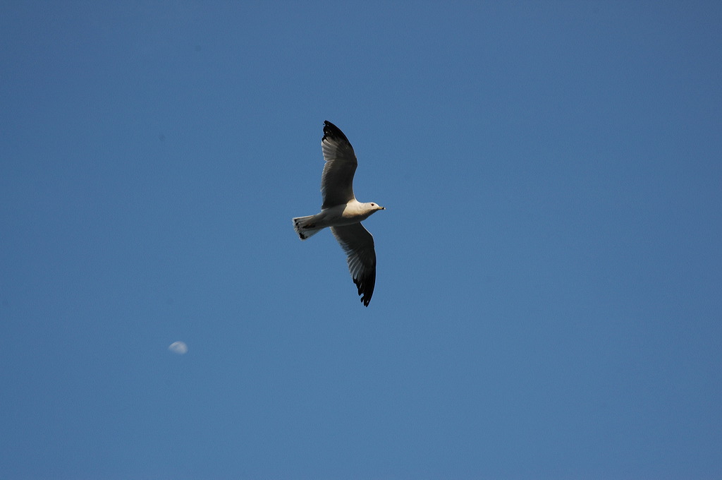 dsc_1429.jpg