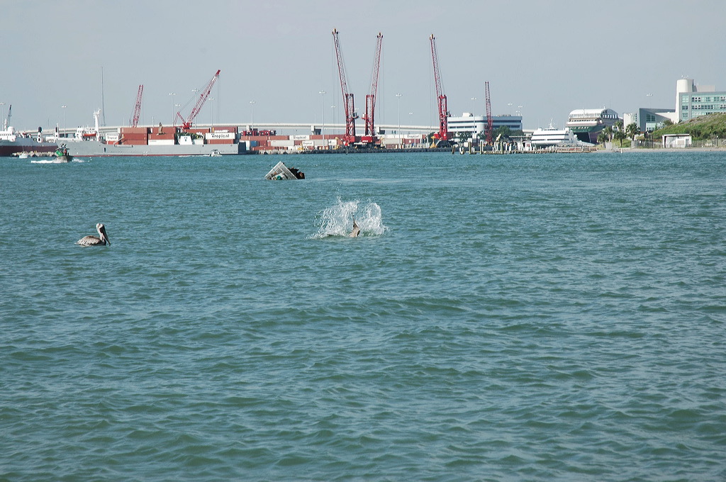 dsc_4579.jpg