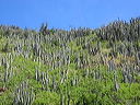 img_0080