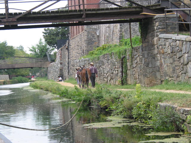 crw_0013.jpg