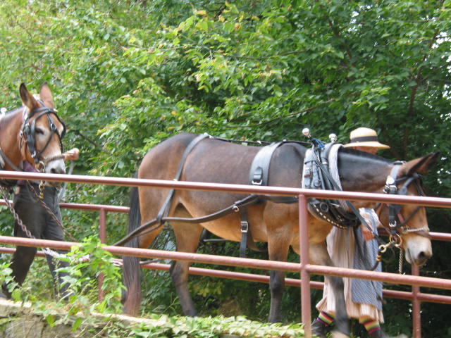 crw_0019.jpg
