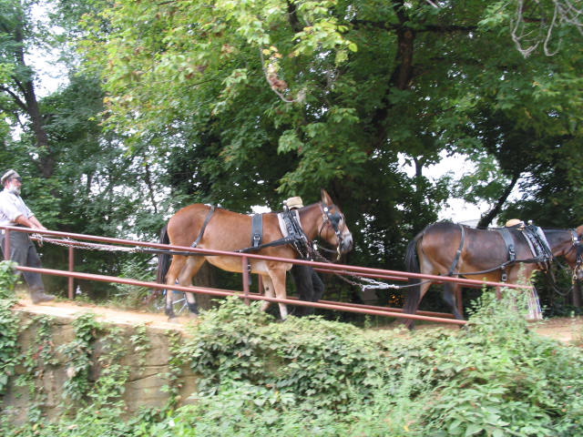 crw_0020.jpg