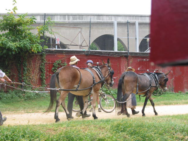 crw_0021.jpg