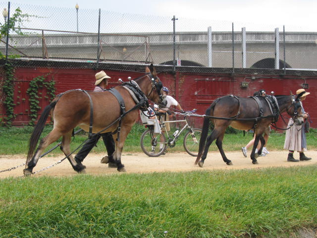 crw_0023.jpg