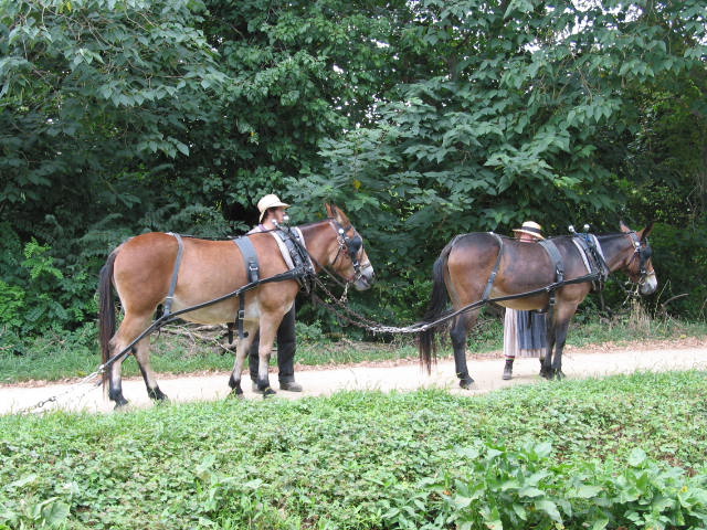 crw_0024.jpg