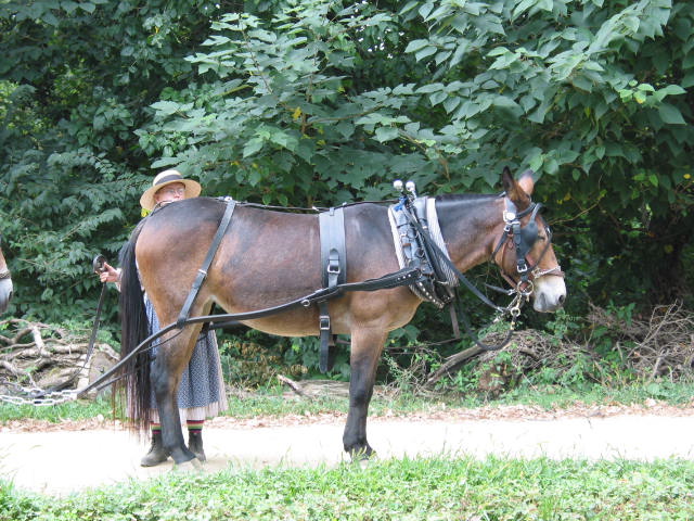crw_0026.jpg