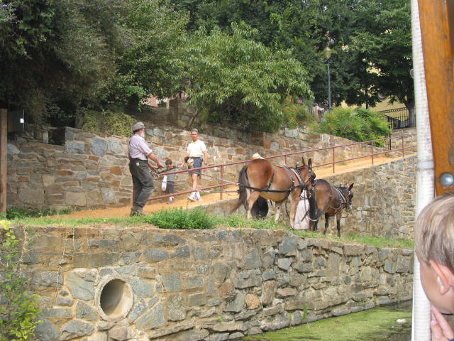 crw_0043.jpg