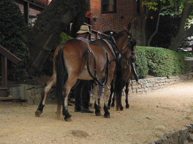 crw_0077.jpg