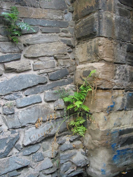 crw_0084.jpg