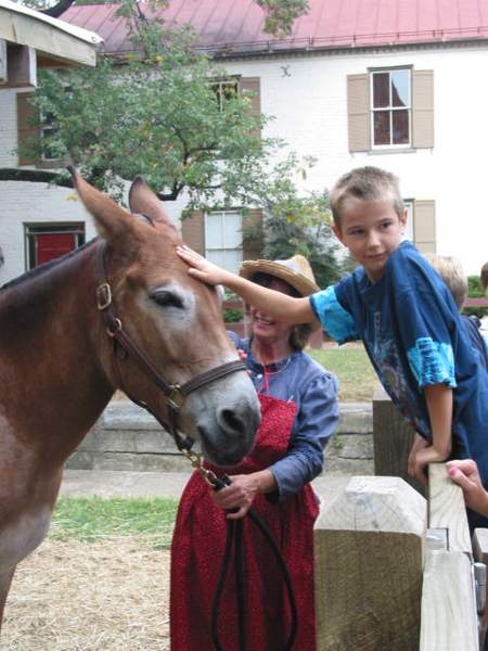 crw_0100.jpg