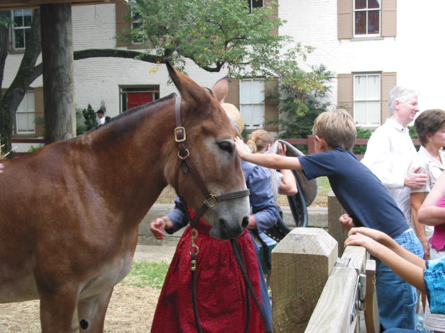 crw_0108.jpg