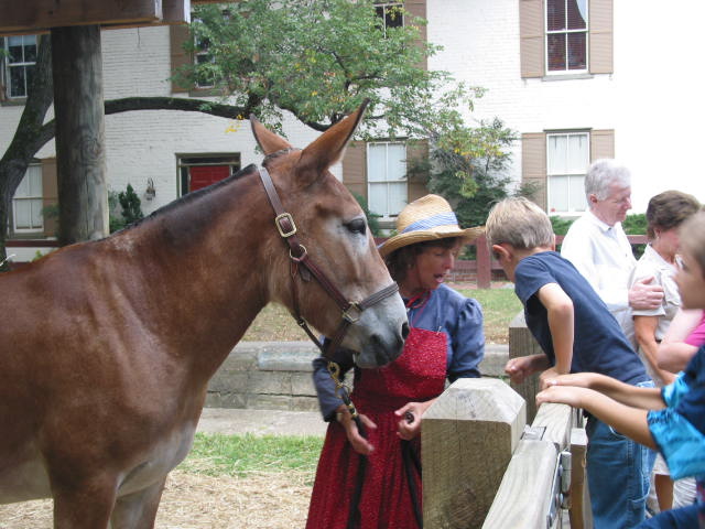crw_0109.jpg