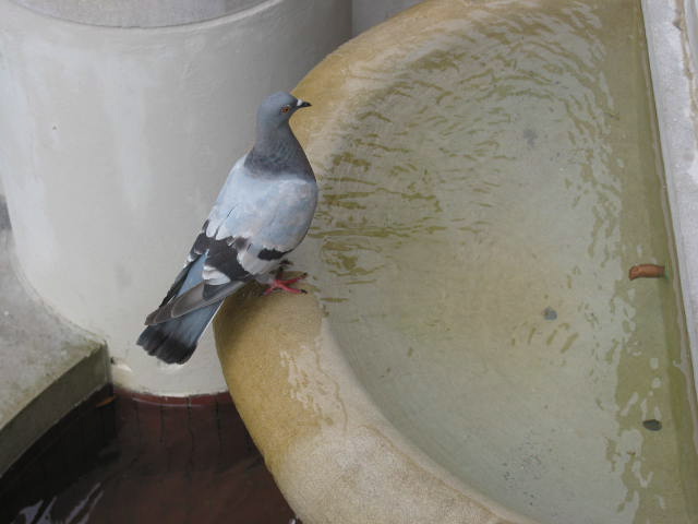 crw_0112.jpg