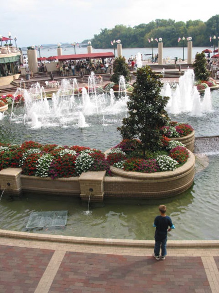 crw_0113.jpg