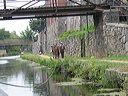 crw_0013
