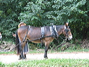 crw_0026