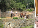 crw_0043