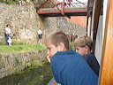 crw_0046