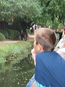 crw_0075