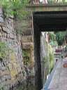 crw_0081