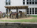 crw_0094