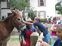 crw_0107