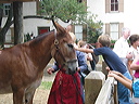 crw_0108