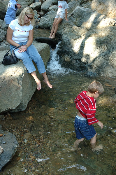 dsc_1352.jpg
