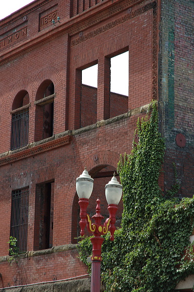 dsc_1229.jpg