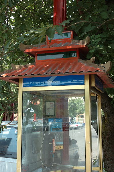 dsc_1237.jpg