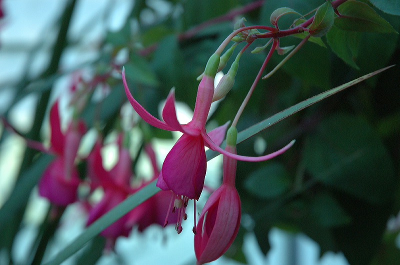 dsc_1282.jpg